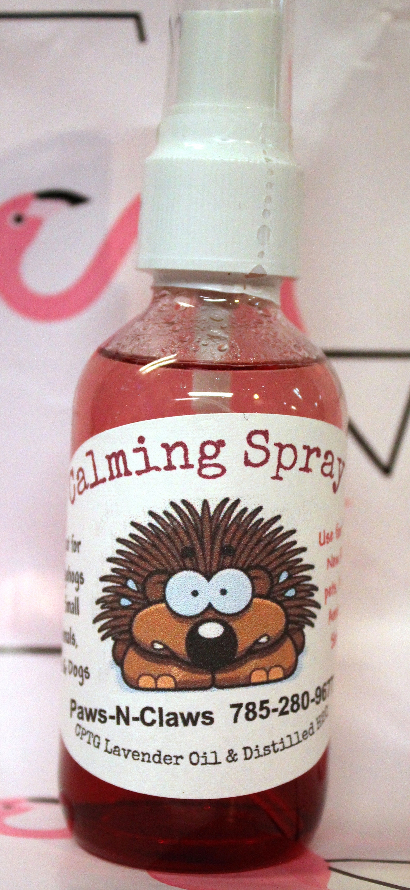 Guinea Pig & Small Animal Safe Spray for Fungus and Ringworm Etsy