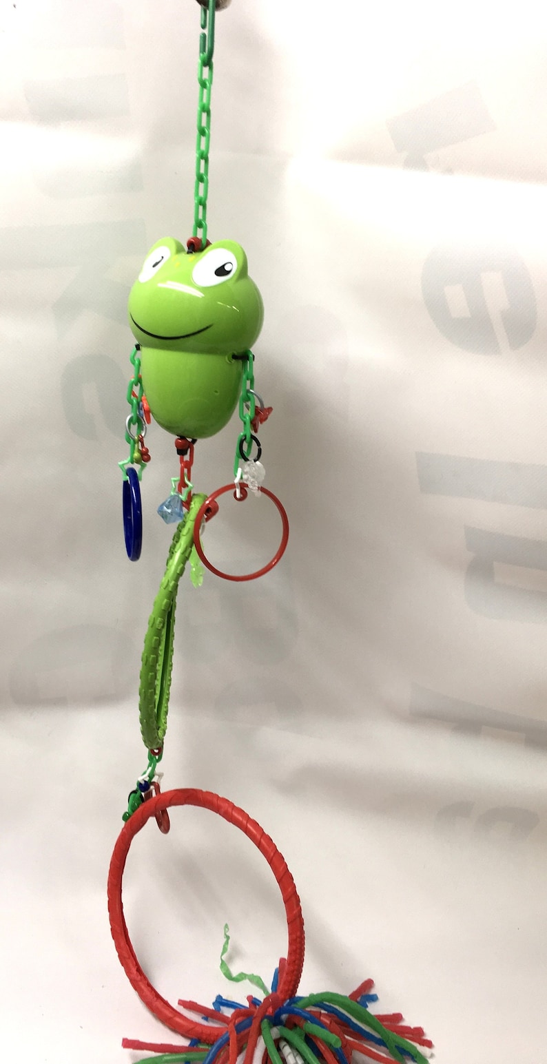 Sugar Glider Frog Dual Circle toy