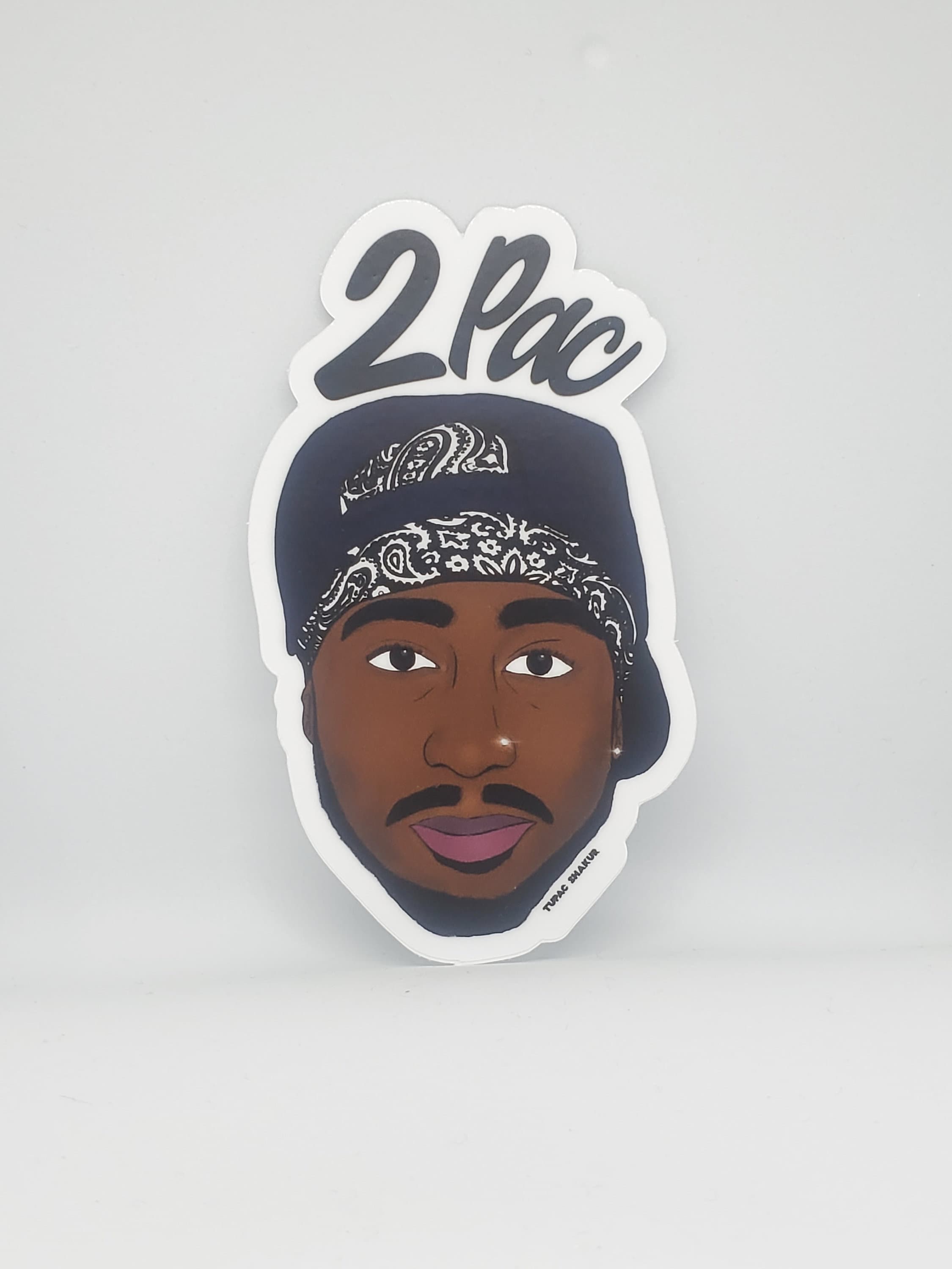 ☆AZ☆ Hiphop 90s Vintage Sticker 15 90's Rap Logo Sticker Pack - Clear, Holographic, or White
