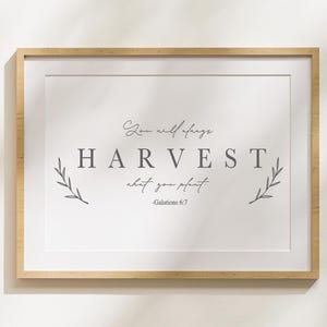 you will always harvest what you plant | Rustic Harvest | Farmhouse Calligraphy Lettering | Fall & Thanksgiving Lettering | Seasonal Decor