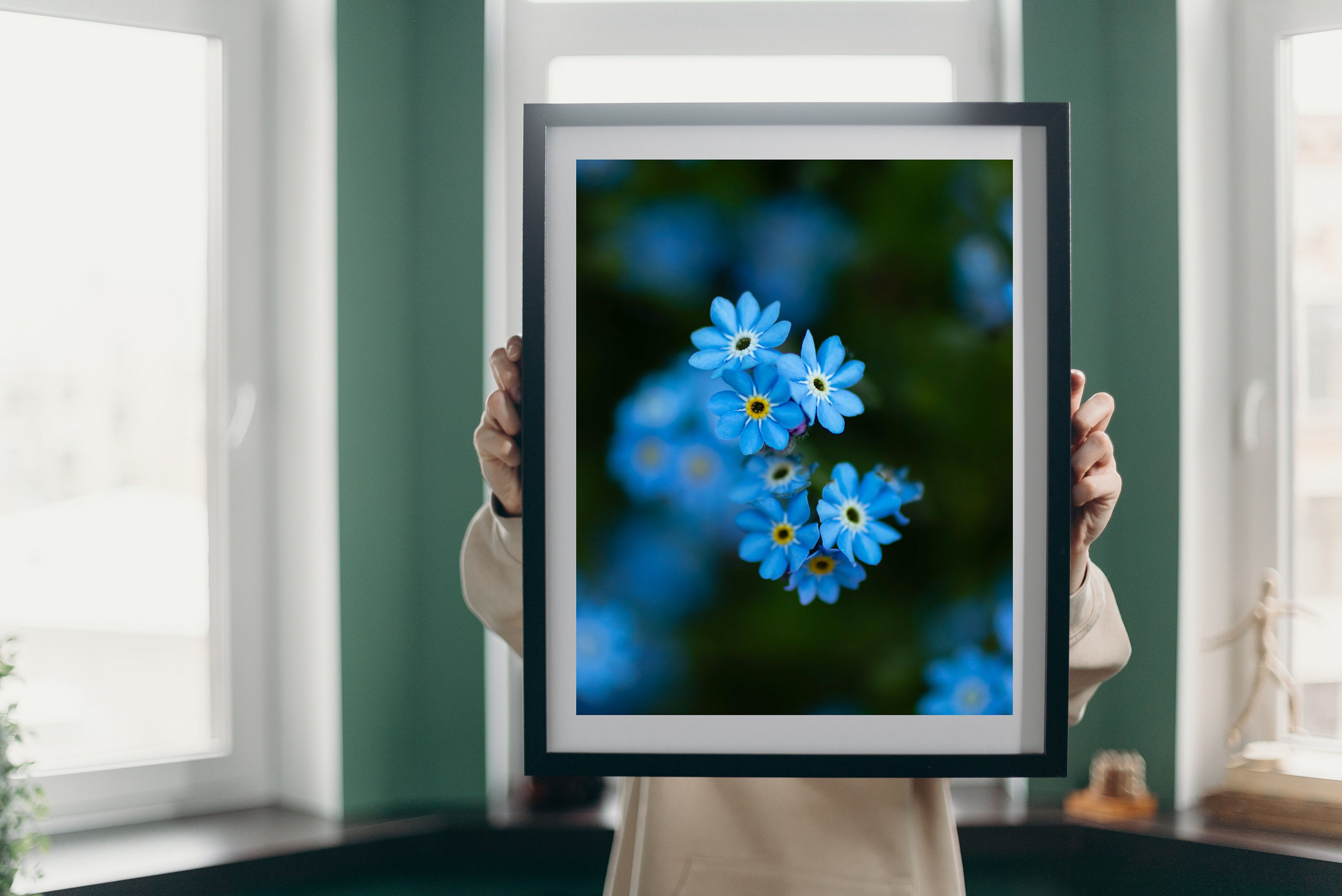 Forget-me-not Flower Photo Print 8x10 11x14 16x20 | Etsy