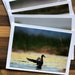 see more listings in the Bird Photo Cards section