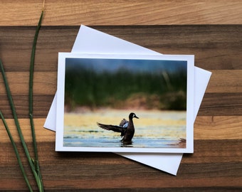 Blue-winged Teal Card | Blank Greeting Card | 6 Assorted Cards | Alberta Bird Card Set | Songbird Greeting Card | Birds of Canada