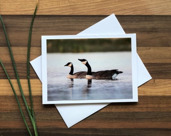 Canada Goose Card | Blank Greeting Card | 6 Assorted Cards | Alberta Bird Card Set | Songbird Greeting Card | Birds of Canada