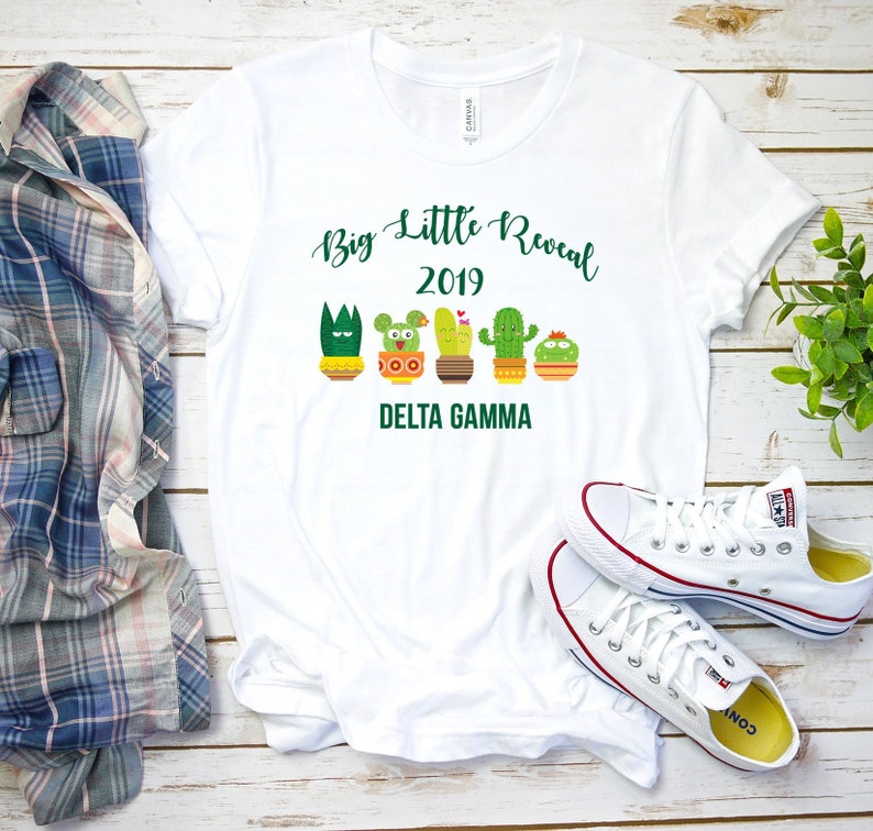 funny big little reveal shirts