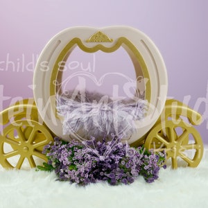 Digitale achtergrond pasgeboren digitale overlay - prachtige bloem koets foto prop perfect voor pasgeboren en peuter hoge resolutie JPEG digitaal bestand