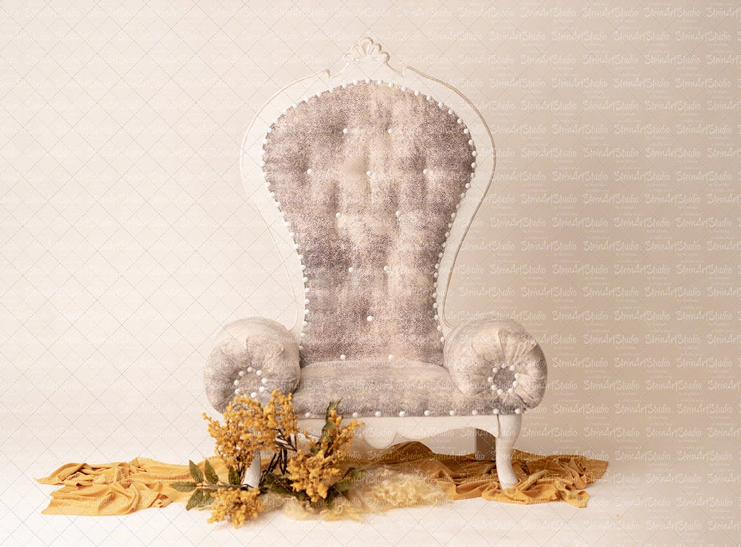 Digital Backdrops Newborn Digital Overlay - Gorgeous BENCH Photo Prop ...