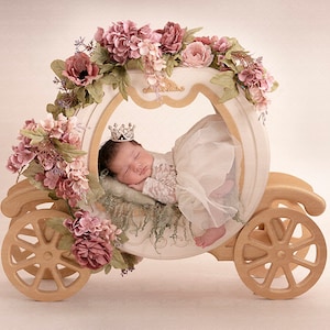 Digital Backdrop Newborn Overlay - Gorgeous Flower Carriage Photo Prop Perfect for  newborn and toddler high res JPEG digital file