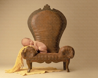 Digital Backdrops Newborn Overlay - Gorgeous BENCH Photo Prop Perfect for newborn and toddler high res JPEG digital file