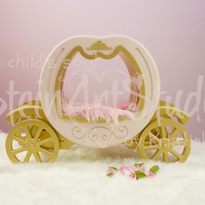 Digitale achtergrond pasgeboren digitale overlay - prachtige bloem koets foto prop perfect voor pasgeboren en peuter hoge resolutie JPEG digitaal bestand