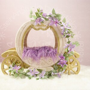 Digitale achtergrond pasgeboren digitale overlay - prachtige bloem koets foto prop perfect voor pasgeboren en peuter hoge resolutie JPEG digitaal bestand