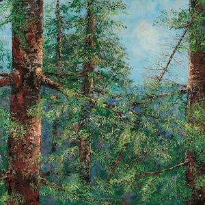 Acadia National Park Coast of Maine Large Limited Edition Giclee Canvas Print