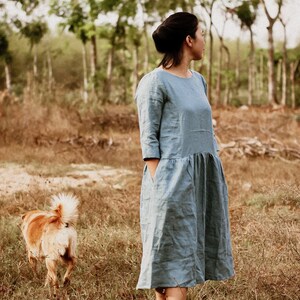 Könnte beinhalten: Hellblaues Leinenkleid mit Dreiviertelärmeln und Taschen. Das Kleid ist knielang und hat eine geraffte Taille. Ein Hund mit buschigem Schwanz rennt über ein Feld mit trockenem Gras.