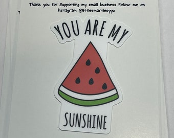 Watermelon sticker // watermelon vinyl sticker // cute  food sticker // cute fruit   sticker // funny sticker