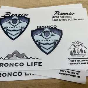 Favoritos definidos! Conjunto de adesivos Bronco Babe Adesivo de vinil menina coque bagunçado // cabelo bagunçado não me importo // aviadores bronco babe
