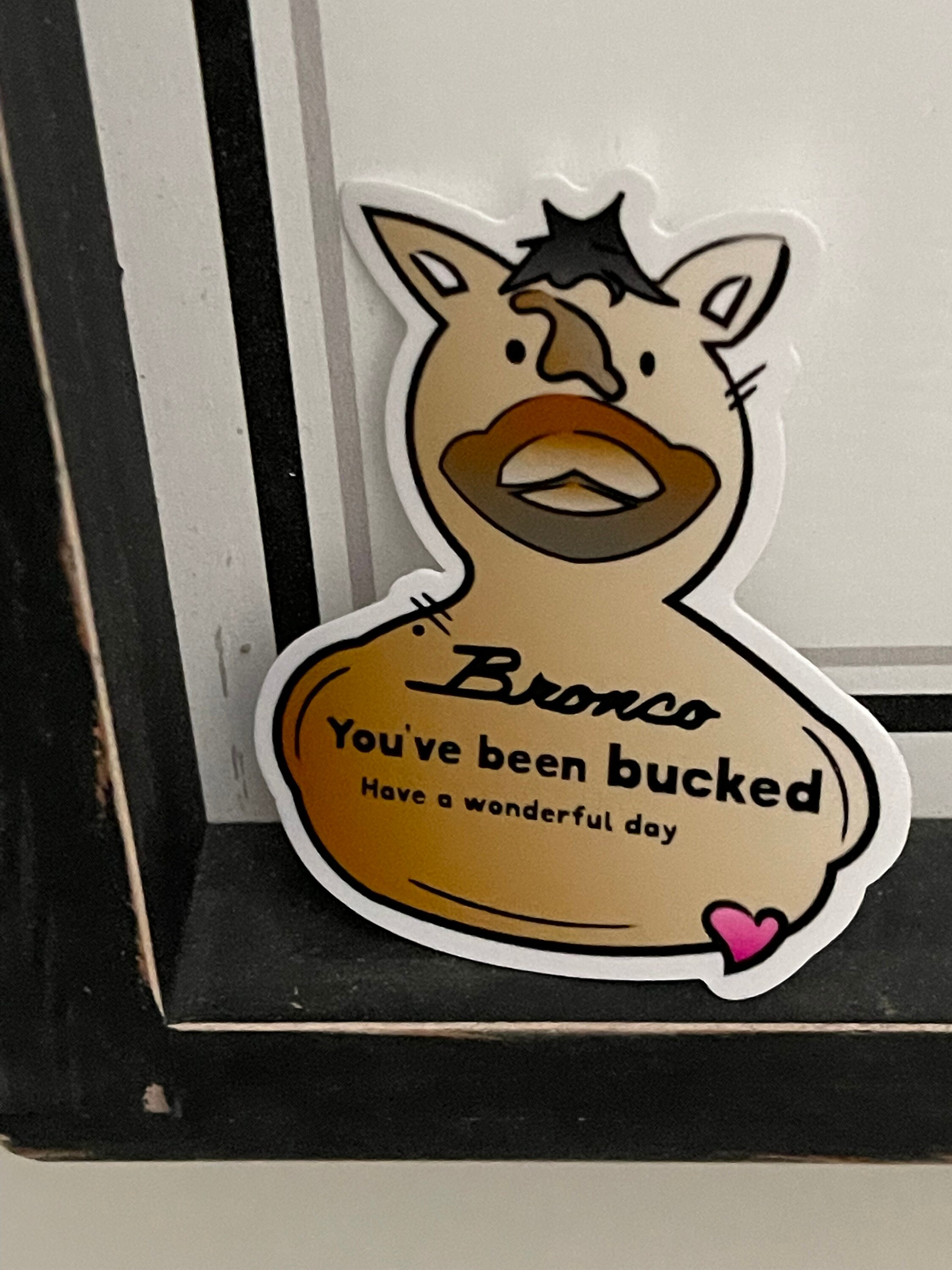 You Ve Been Bucked Bronco Meaningnull