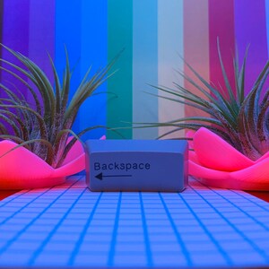 May include: A gray computer key with the word "Backspace" printed on it. The key is sitting on a white grid pattern surface. Two pink flower-shaped planters with green plants are on either side of the key.