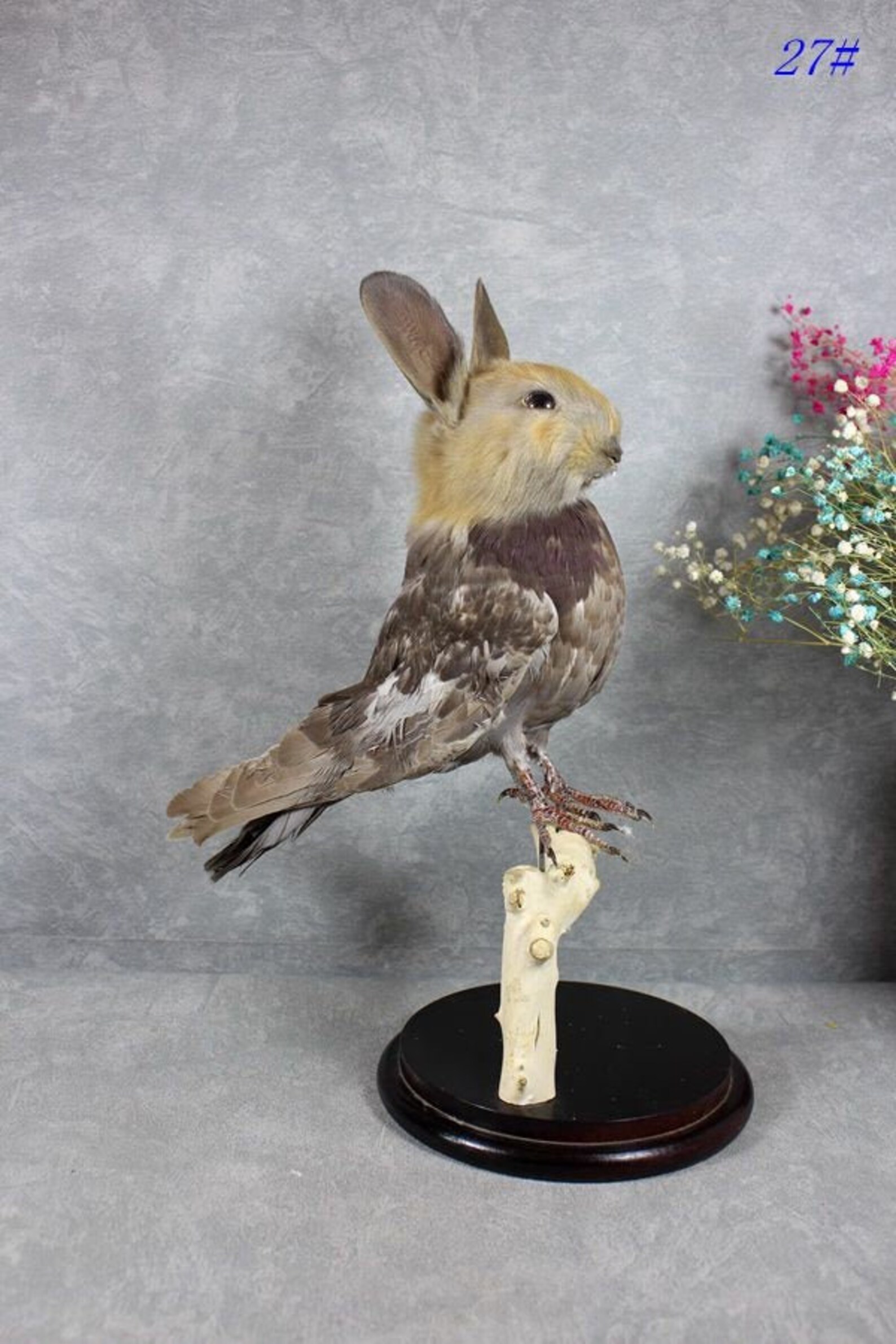 Taxidermy yellow bunny head on copper dove body handmade Etsy