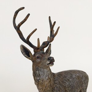 Antique Vienna Austria Bronze Deer Sculpture, Cold Painted GESCHÜTZT Bronze Animal Art Statue image 10