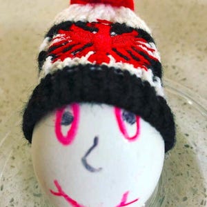 May include: A white egg decorated with a hand-drawn face featuring pink eyes, a gray nose, and a pink mouth, wearing a small, hand-knitted beanie. The beanie is white with a black brim, a red pom-pom, and a red double-headed eagle emblem.