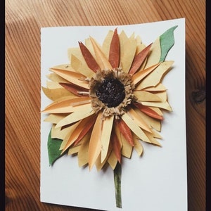 Girasole