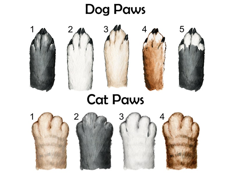 May include: A comparison of dog paws and cat paws. The image shows five different dog paws, each with a different color and pattern. The image also shows four different cat paws, each with a different color and pattern.