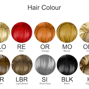 Puede incluir: Una tabla titulada Hair Colour que muestra diez ilustraciones circulares de varios estilos y tonos de cabello. Cada c&iacute;rculo est&aacute; etiquetado con un c&oacute;digo de dos letras y el nombre del color correspondiente: Blonde, Red, Orange, Mousy, Ombre, Brown, Light Brown, Silver/Grey, Black y Highlights.