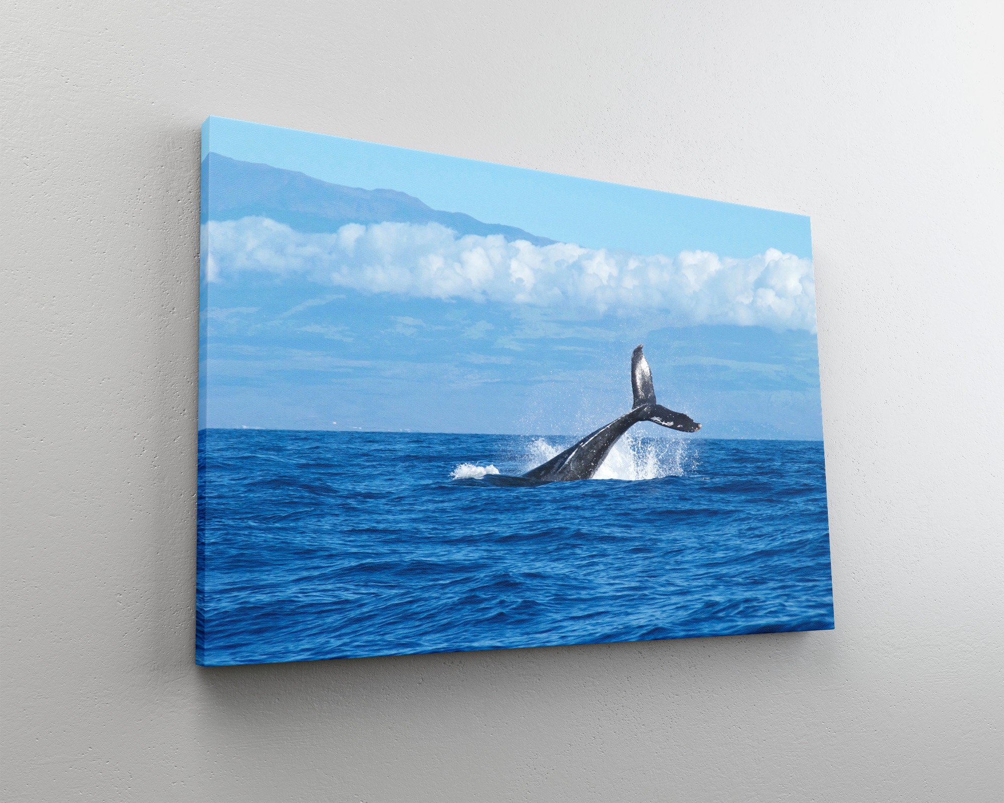 Breaching Surfacing Humpback Whale Canvas Print