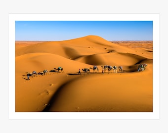Camels in the African Sahara Desert Canvas Print