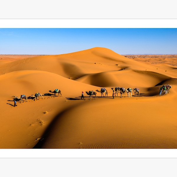 Camels in the African Sahara Desert Canvas Print | Animals Wildlife Poster | Nature Photography Art