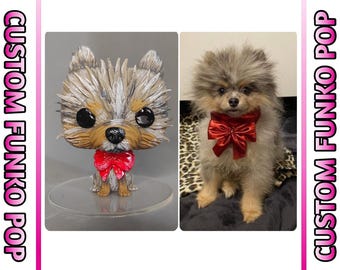 Custom Funko figure, created from Photos | Custom Funko Pop Pet + Funko Box