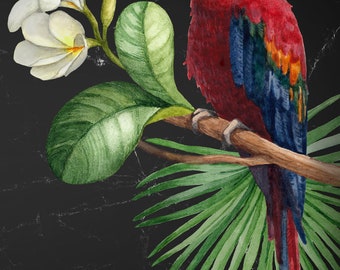 May include: A red and blue macaw perched on a branch with white flowers and green leaves. The background is a dark gray.