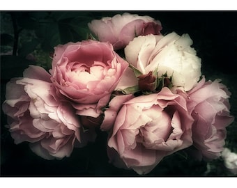 Moody Florals, Mint by Michelle Decoupage- Decoupage paper, A3, A1