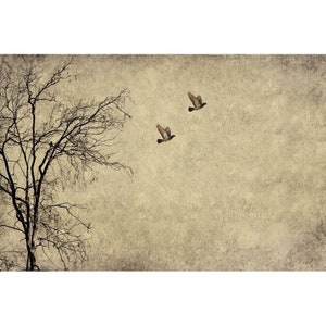 Op de afbeelding: Een vintage-achtige afbeelding van een kale boom met twee vogels die vliegen in de lucht tegen een textuurrijke beige achtergrond.