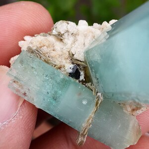 May include: A close-up of a mineral specimen with pale blue-green, translucent crystals. The crystals are rectangular and grouped with a white, granular matrix. A small, dark, black crystal is visible.