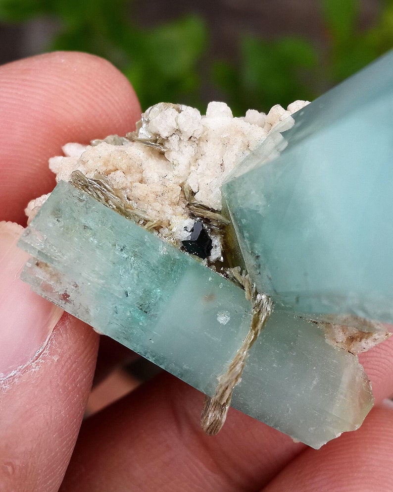 May include: A close-up of a mineral specimen with pale blue-green, translucent crystals. The crystals are rectangular and grouped with a white, granular matrix. A small, dark, black crystal is visible.