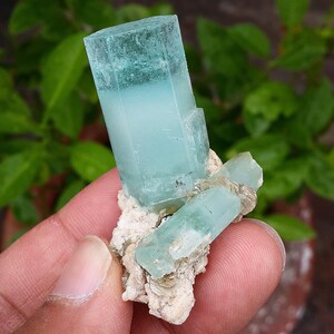 May include: A cluster of aquamarine crystals, displaying a pale blue colour with a translucent appearance. The crystals are attached to a beige matrix, creating a natural contrast. The image highlights the mineral's crystalline structure and colour.