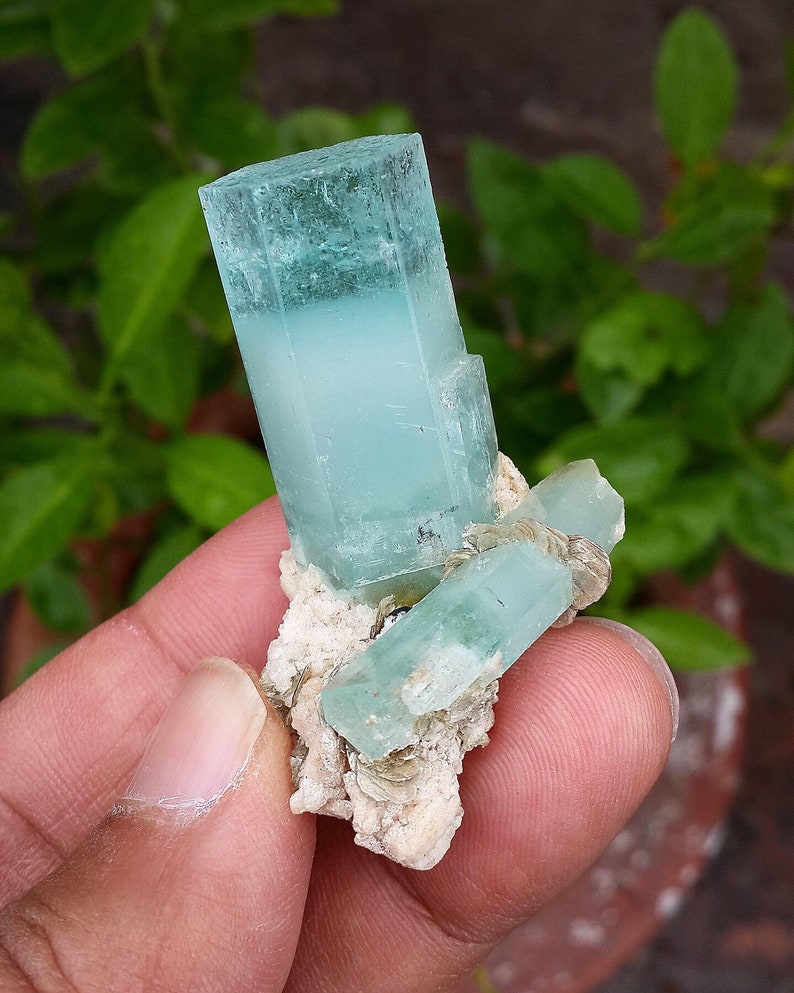 May include: A cluster of aquamarine crystals, displaying a pale blue colour with a translucent appearance. The crystals are attached to a beige matrix, creating a natural contrast. The image highlights the mineral's crystalline structure and colour.