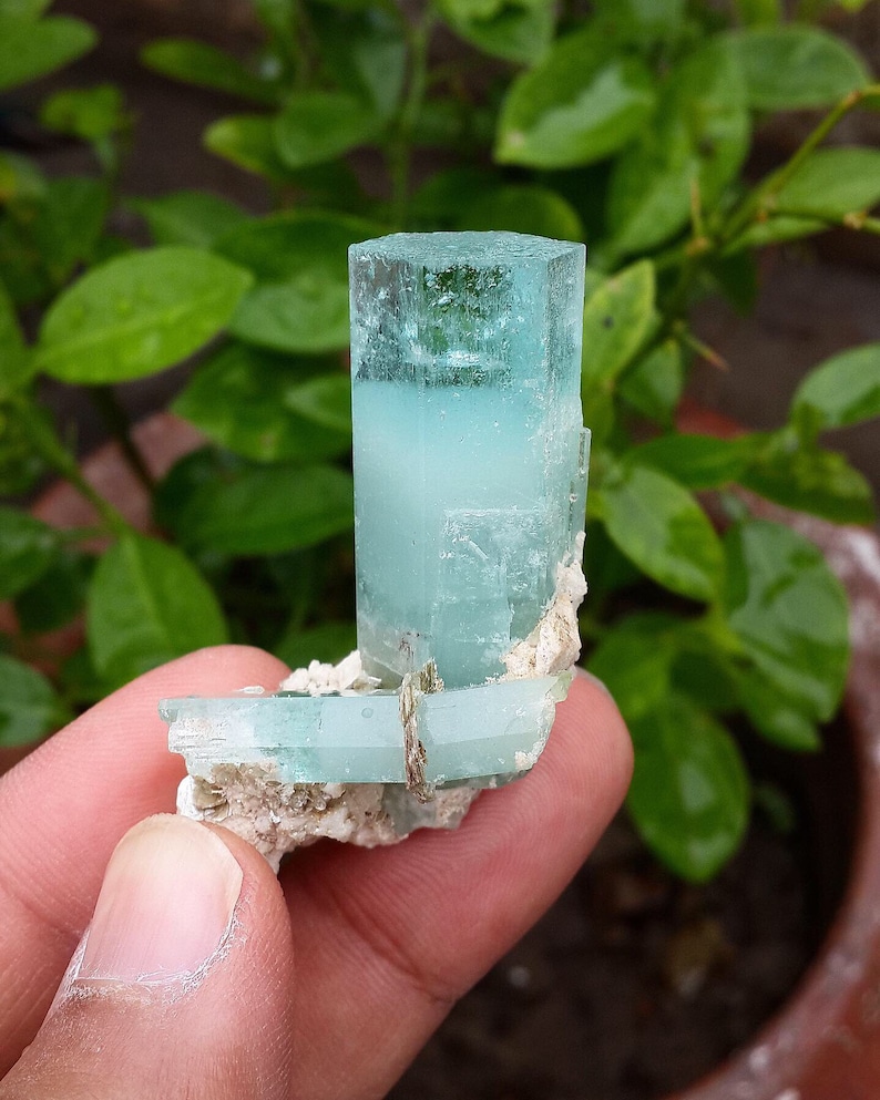 May include: A pale blue aquamarine crystal with a rectangular form. The crystal is held in a hand and set against green leaves. The aquamarine has a translucent appearance. The background is out of focus.
