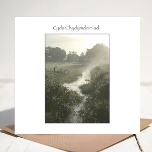Gyda Chydymdeimlad. Galés con tarjeta de simpatía. CODE 8222w