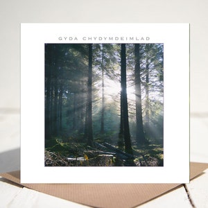 Gyda Chydymdeimlad. Welsh mit Sympathie Card CODE 8618w