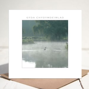 Gyda Chydymdeimlad. Welsh mit Sympathie Card CODE 8220w