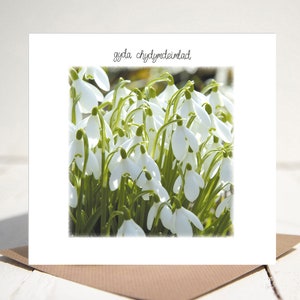 Gyda Chydymdeimlad. Welsh met sympathie kaart.  CODE 79173w