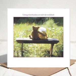May include: Two teddy bears sitting on a wooden bench in a field of green grass. The text "Llongyfarchiadau ar eich dyweddiad" is written above the bears.