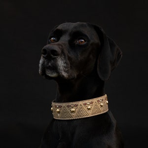 Golden Lace Hundehalsband aus Vegan Leder: Italienisches Handwerker Design
