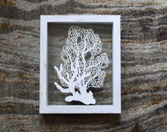 Sea Fan & Coral Reef Marine Museum Curio Originele handgesneden papierkunst door Cassidy Lynn