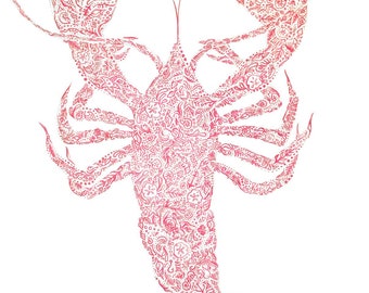 Rock Lobster Original Artwork Print Nautical Detailed Lobster Art by Cassidy Lynn