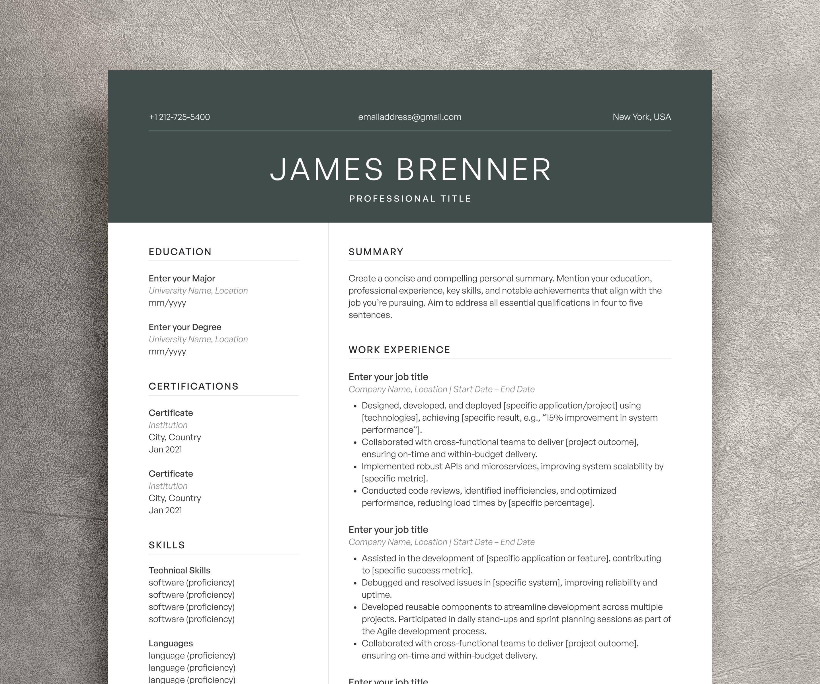 Modern Executive Resume Template for Word, Apple Pages Resume, CV ...