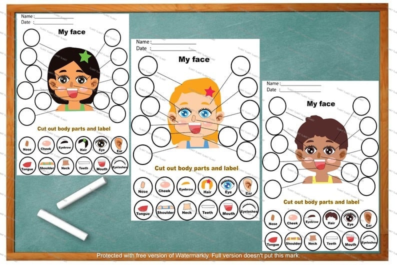 My face Parts Labelling Activity early year nursery KS1 | Etsy