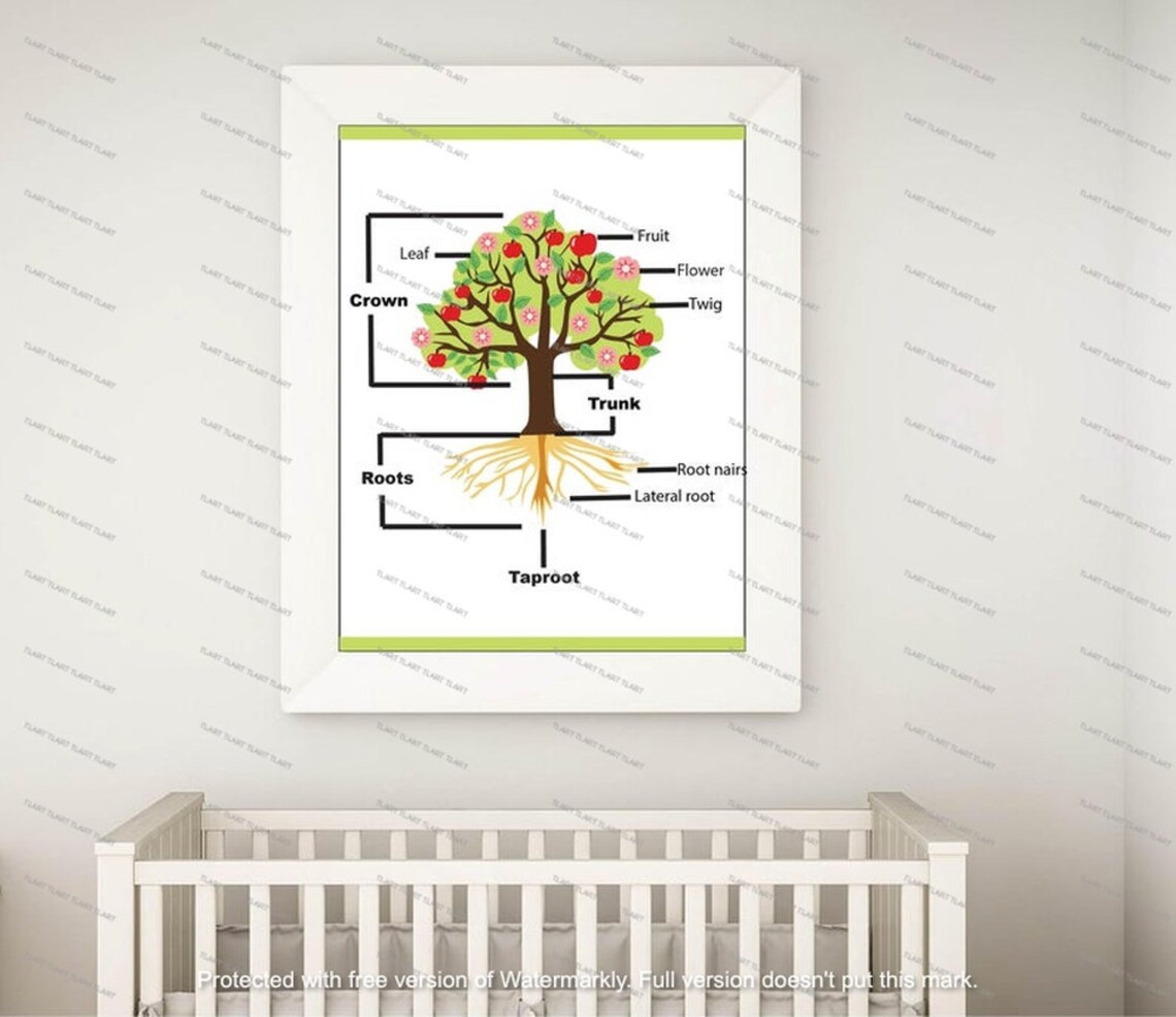 Parts of Tree Labelling Activity Early Yearnursery Primary Etsy UK